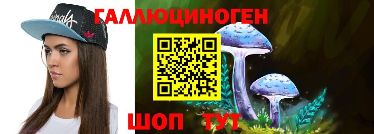 Псилоцибиновые грибы Cubensis Абинск